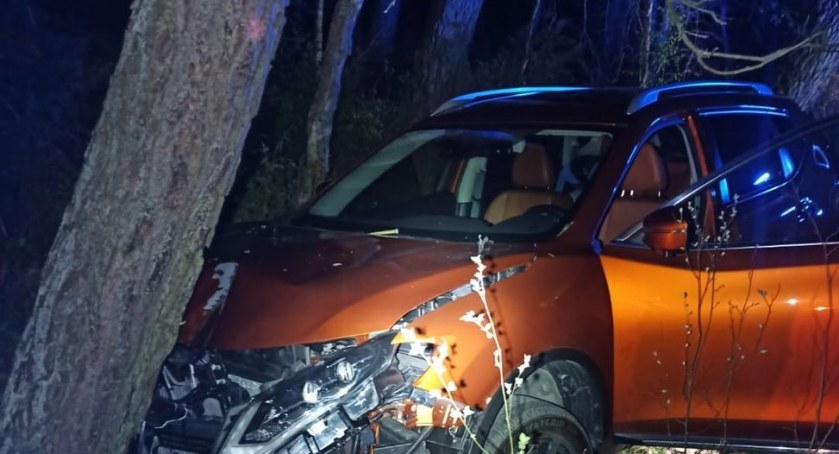 Wypadek z udziałem dzikiego zwierzęcia. Kolejny w tym tygodniu