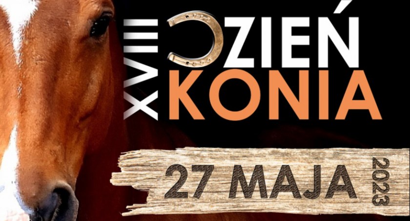 Zawody i pokazy. Dzień Konia w Gulczewie 