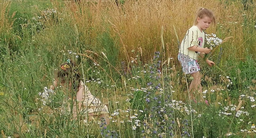 Radośnie i kolorowo. Somianka pięknie powitała lato 
