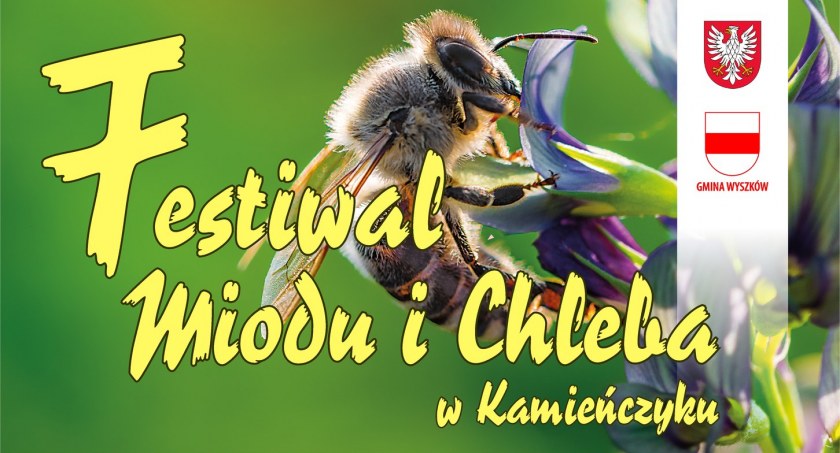 Festiwal Miodu i Chleba. Chwila wytchnienia i moc smakołyków