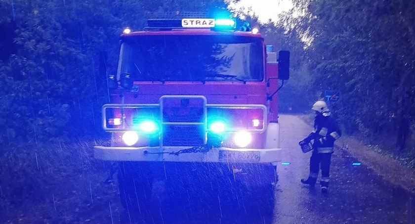 Skutki burzy: Powalone drzewa zablokowały ruch