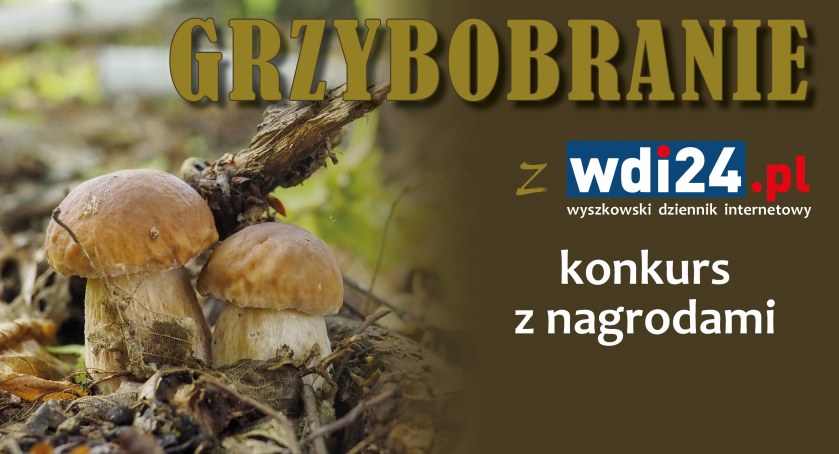 Grzybobranie z wdi24.pl! - zapraszamy do udziału w konkursie