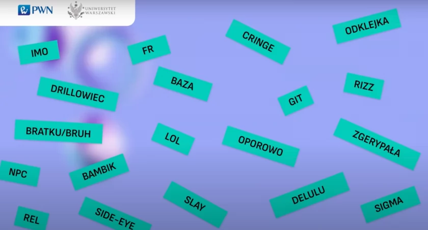 Wybrano Młodzieżowe Słowo Roku. Przedstawiamy TOP 20 - wiesz co znaczą?
