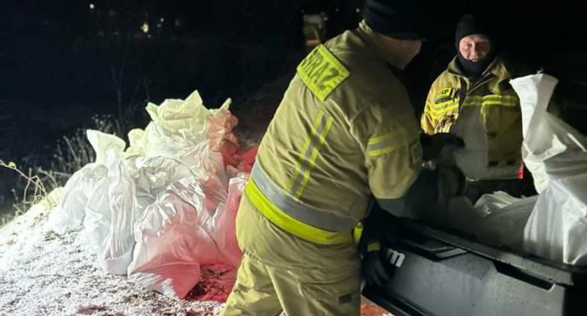 Strażacy prowadzą działania na obwałowaniu ochronnym w Drogoszewie 