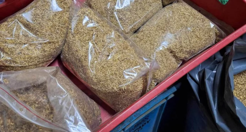 Udana akcja kryminalnych. Zabezpieczono 717 kg nielegalnych wyrobów tytoniowych