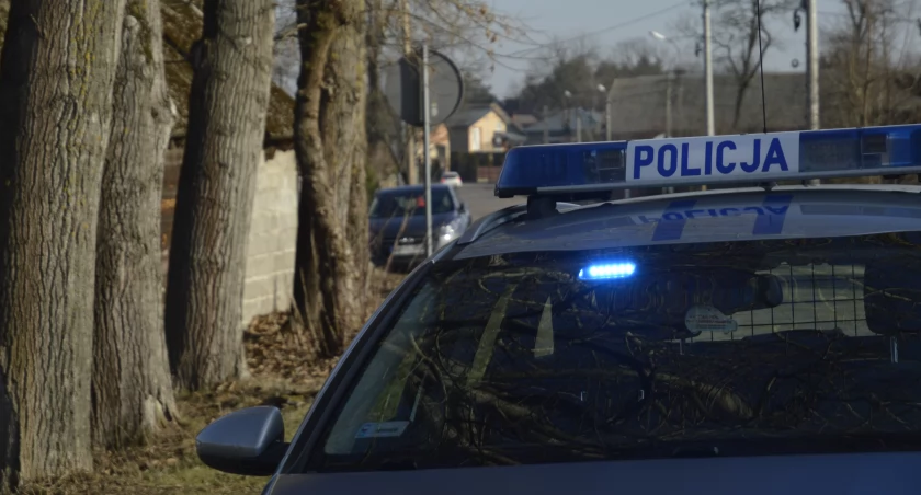 Pijani agresorzy zatrzymani. Znęcali się nad domownikami i grozili