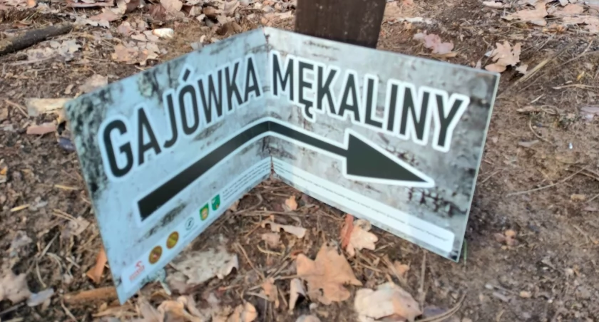 Wandale w lesie. Zniszczono nowy znak do Gajówki Mękaliny 