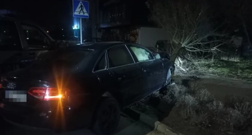 Nocny pościg ulicami Wyszkowa. Pijany kierowca zatrzymał się na drzewie