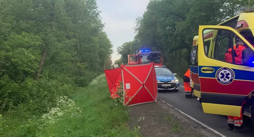 Tragiczny wypadek na trasie Skuszew-Kamieńczyk. Pasażer nie przeżył