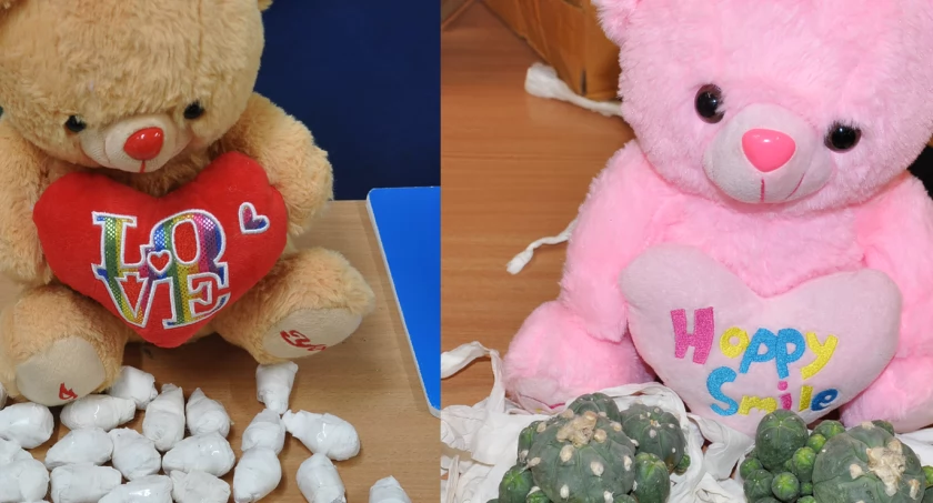 Misie z niespodzianką. Ciekawe znalezisko w przesyłce z Azji