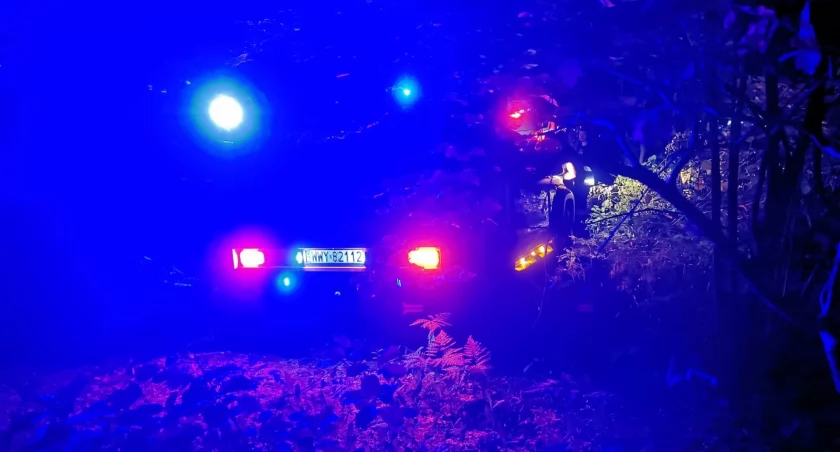 Tragedia w lesie. Mężczyzna zmarł przygnieciony przez drzewo