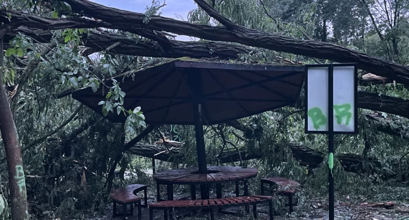Dziesiątki interwencji, ogromne szkody. Park Miejski ZAMKNIĘTY do odwołania [FOTO]