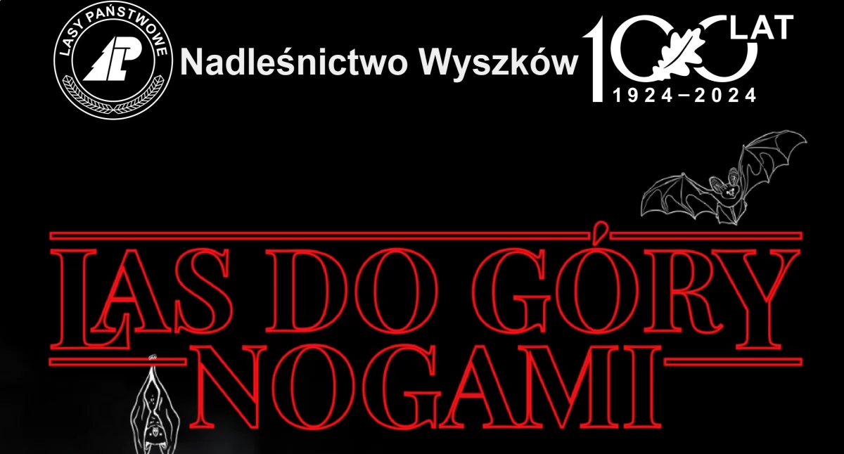 Nadleśnictwo Wyszków zaprasza na wieczór z nietoperzami