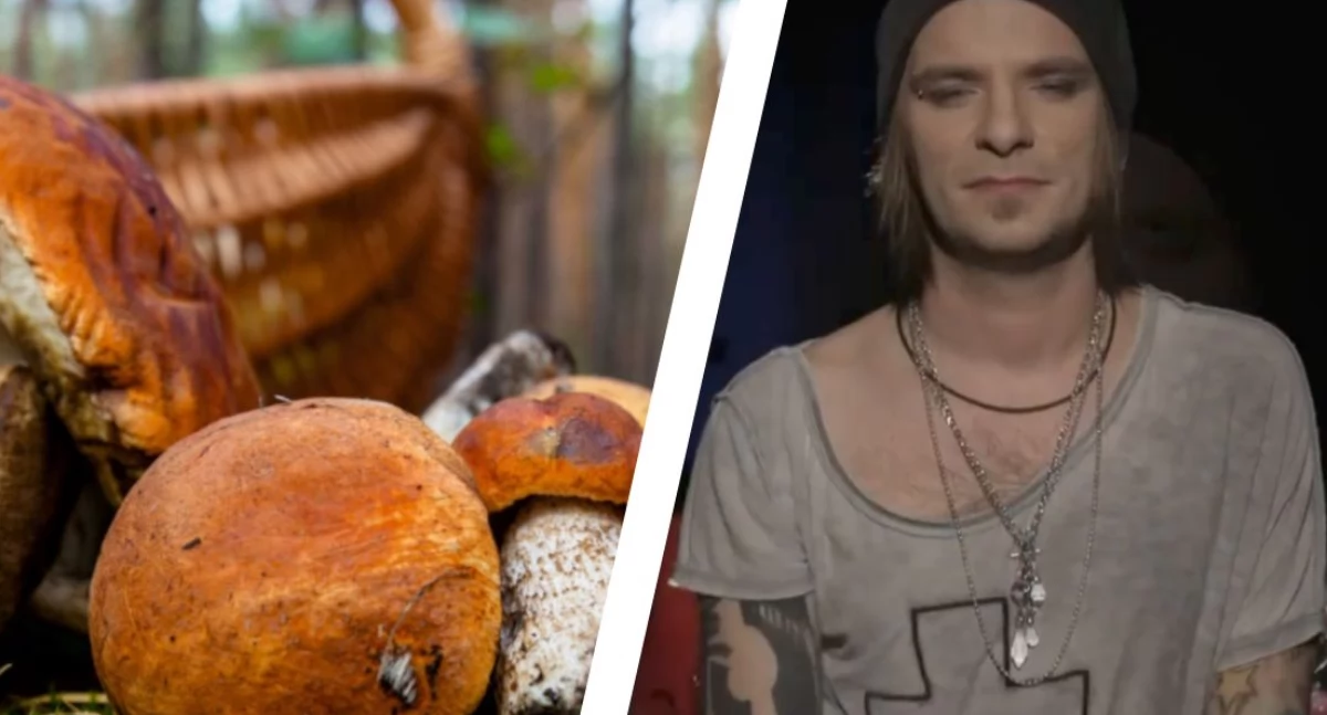  XXI Wielkie Grzybobranie w Długosiodle już w ten weekend. Gwiazdą zespół VIDEO