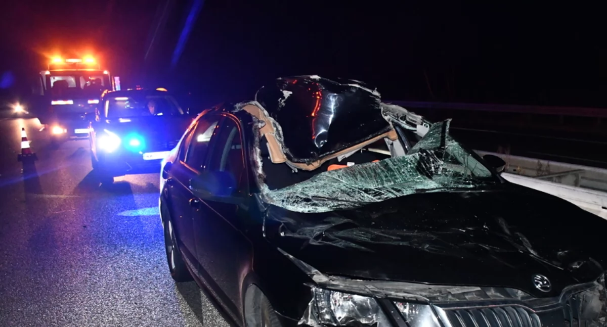 Zderzenie z łosiem na S8. Dwie osoby w szpitalu