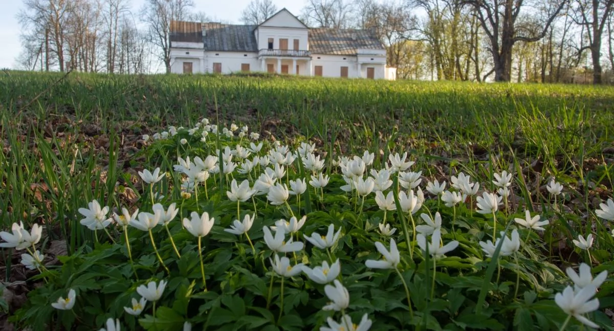 Samorząd Mazowsza pomoże odnowić zabytki
