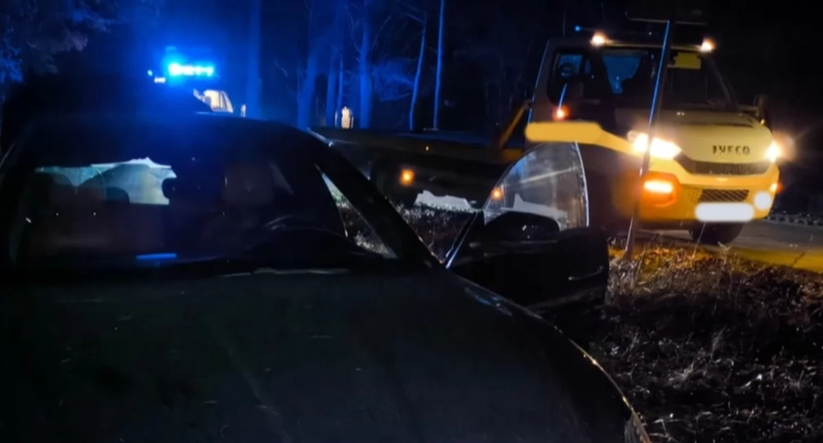 Stado dzików wybiegło na drogę. Zderzenia nie udało się uniknąć 