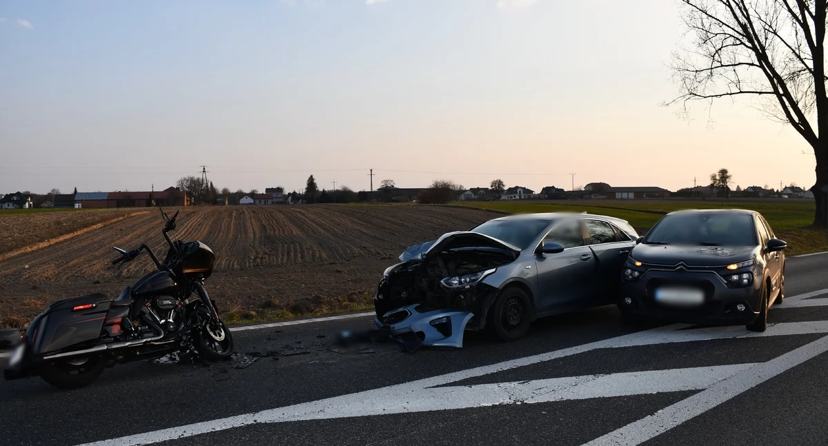 Motocykl, dwa samochody i łoś. Groźny wypadek w Michalinie