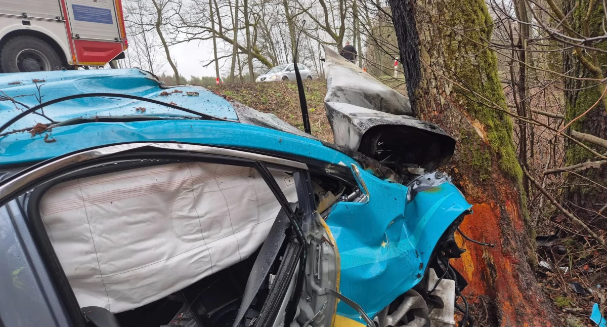 Wjechał wprost na drzewo. Z płonącego auta wyciągnęli go świadkowie [foto]