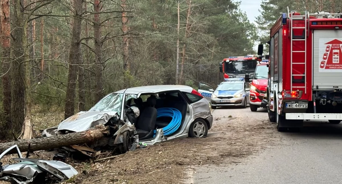 Wypadek w Anastazewie. Drzewo przebiło auto
