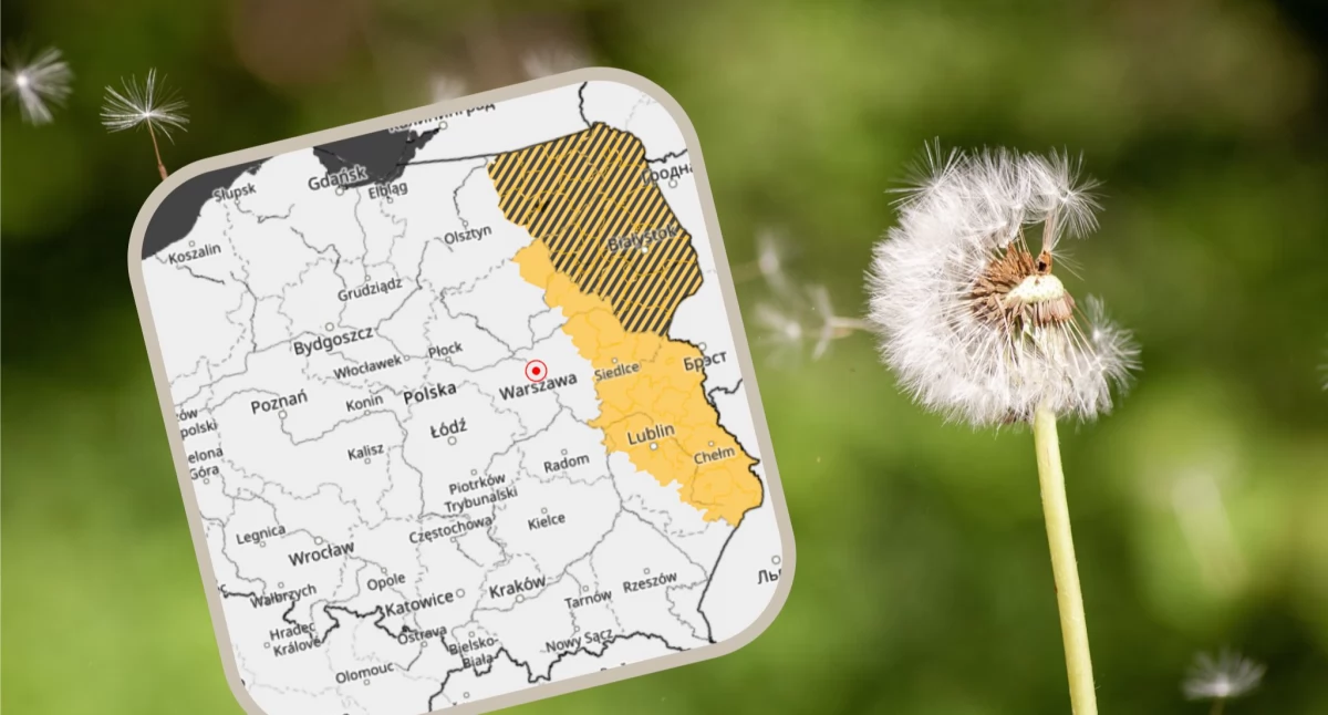 IMGW ostrzega przed silnym wiatrem. Alerty dla kilku regionów 