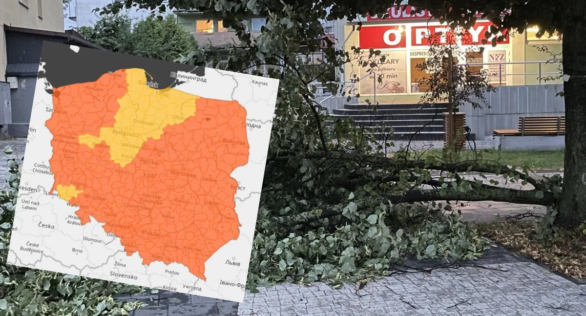Gwałtowne burze i silne wichury: IMGW ogłasza pomarańczowe alerty