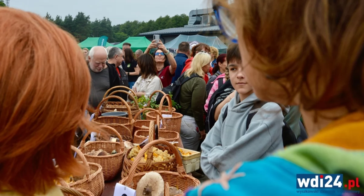 Obfite zbiory Wielkiego Grzybobrania i udany debiut WDI24 – pogoda nie zepsuła nastrojów