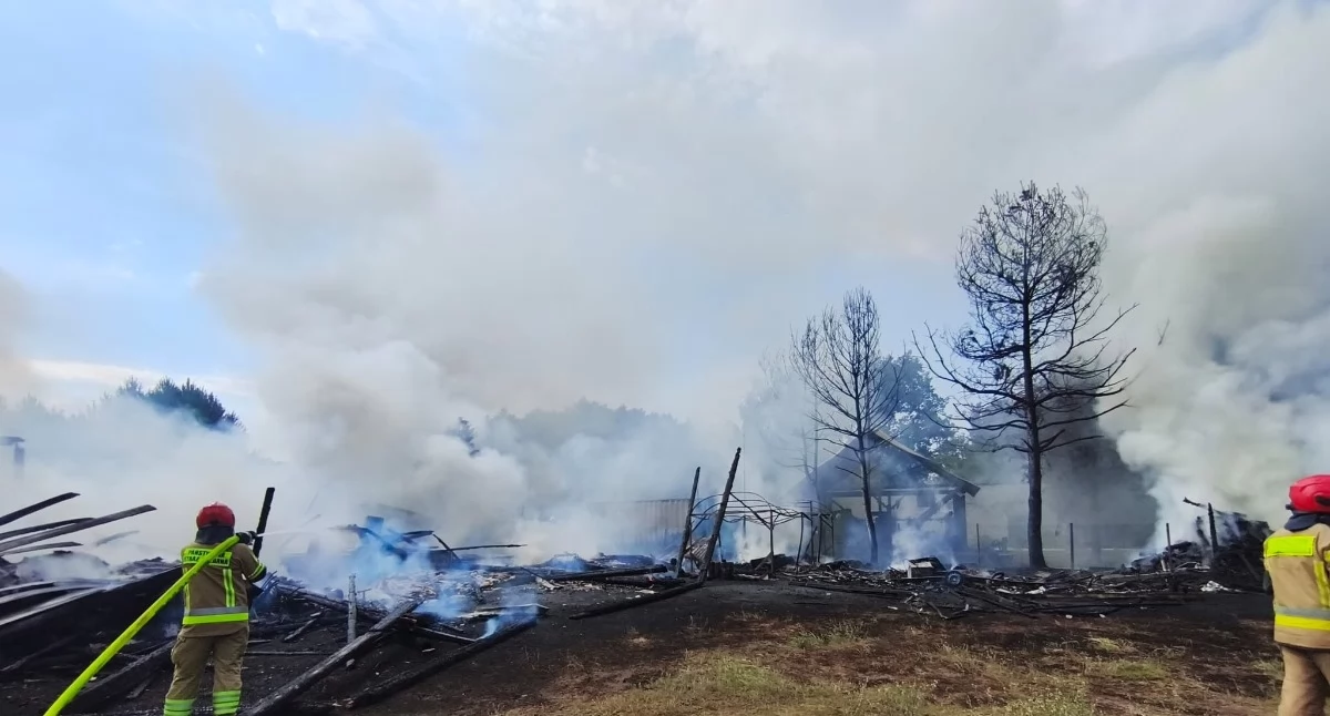Pożar trzech budynków gospodarczych w Udrzynie. Strażacy walczyli z ogniem przez kilka godzin