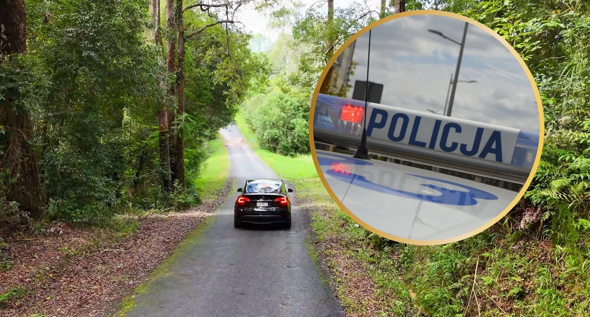 Myśleli, że zmiana kierowcy rozwiąże problem. Oboje mieli po blisko... 3 promile