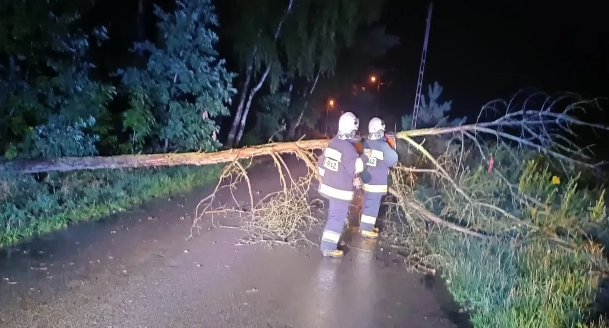 Noc pełna pracy dla strażaków. Powalone drzewa i zalane posesje po burzy