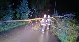Noc pełna pracy dla strażaków. Powalone drzewa i zal&hellip;