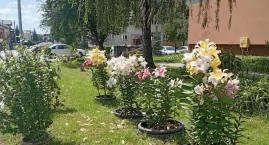 „Wezwanie ostateczne”. Spółdzielnia stawia mieszkańc&hellip;