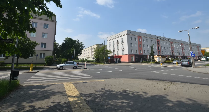 Aleja na Leśnym zyska nowy wygląd: odnowiona nawierzchnia i nowe nasadzenia