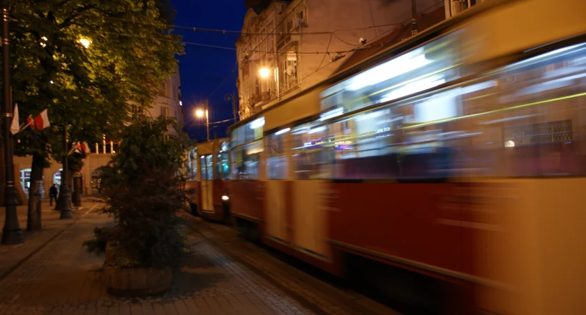 Nowy Port w centrum miasta: wysoki szpaler platanów i zielone wyspy odmieniają Bydgoszcz