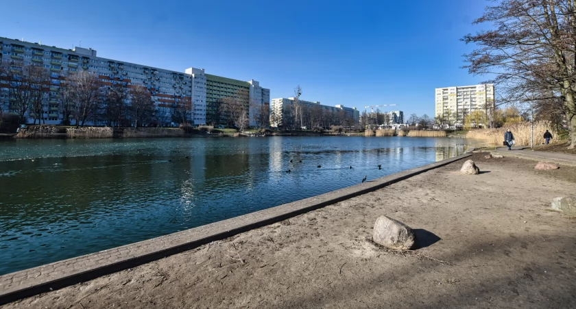 Wybór, który ma znaczenie – czy bydgoszczanie docenią pracę lokalnych dzielnicowych?