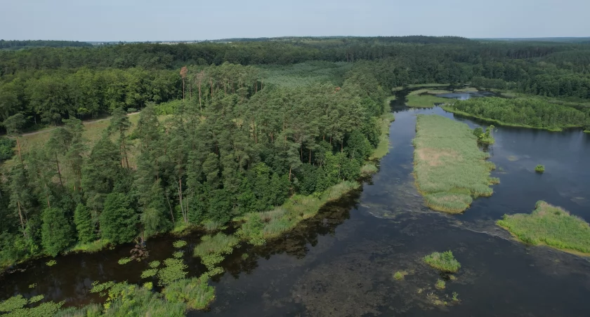 Warsztaty i spotkania – jak bydgoskie zoo przybliża dziką naturę?