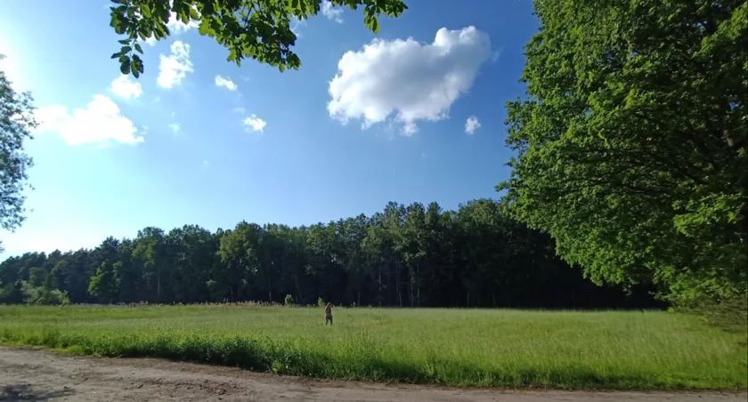 Edukacja ekologiczna w Bydgoszczy: praktyczne działania na rzecz zrównoważonego rozwoju