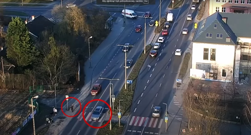 Dane nie kłamią: kierowcy i piesi wspólnie przyczyniają się do zagrożeń w Bydgoszczy
