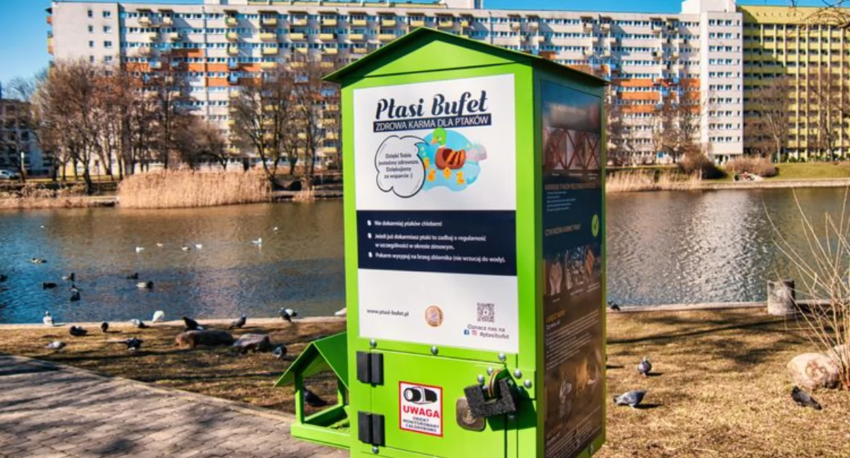 Bydgoski Balaton z Ptasim Bufetem. Koniec z chlebem – zaczyna się mądre karmienie ptaków