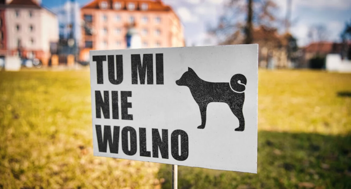 Trawniki w Bydgoszczy czystsze niż dekadę temu. Dlaczego?
