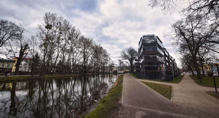 Czysta Bydgoszcz zaczyna się od ludzi – kto naprawdę dba o środowisko w mieście?