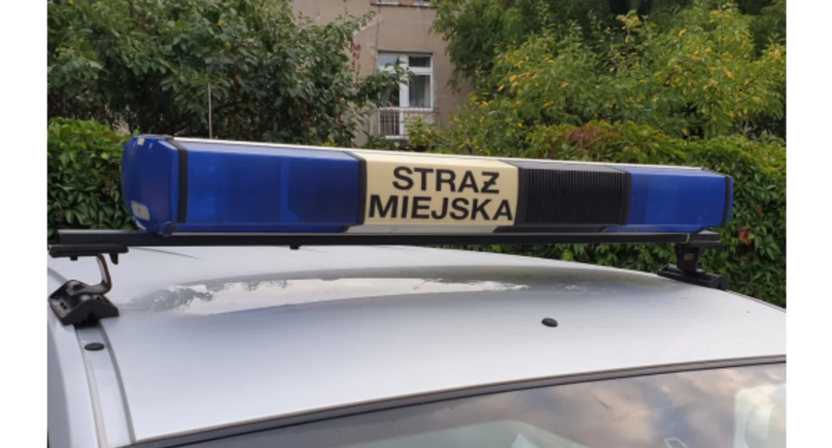 Zwykły patrol, niezwykła reakcja. Co wydarzyło przy Piotrowskiego w Bydgoszczy?