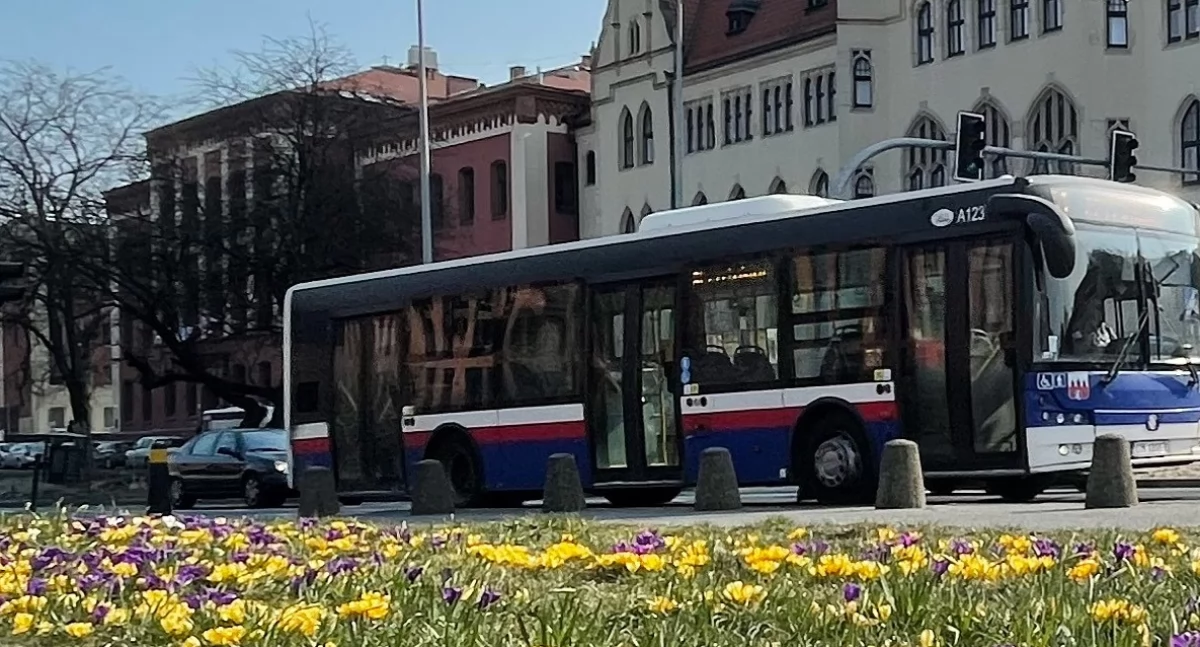 Wsiąść do autobusu byle jakiego? Nie w Bydgoszczy – oto nowe kierunki komunikacji miejskiej i podmiejskiej