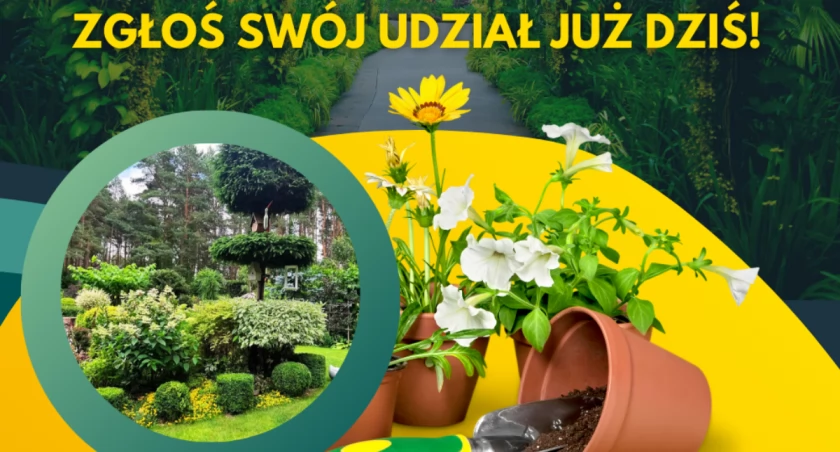 Bydgoski powiat promuje ekologię. Konkurs na najpiękniejszy ogród wraca po raz 26