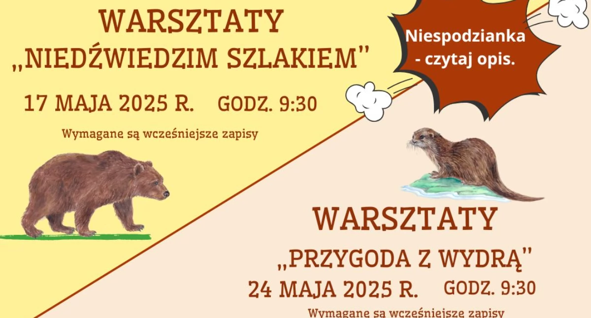 Maj pełen pazurów i wąsów: edukacyjne safari w bydgoskim zoo