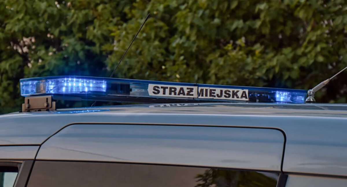 Każda niedziela wygląda tak samo – straż miejska kontra przyjezdni z regionu | parkowanie Bydgoszcz giełda Wyżyny