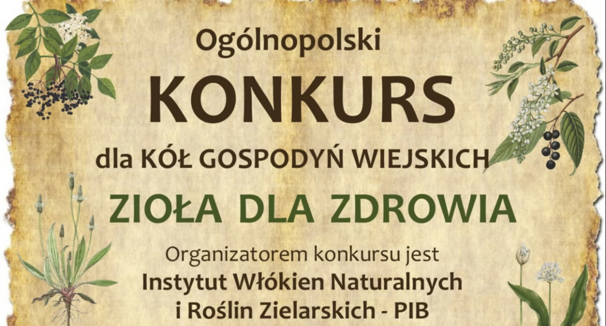 Konkurs zielarski: kujawsko-pomorskie w ogólnopolskim wyzwaniu
