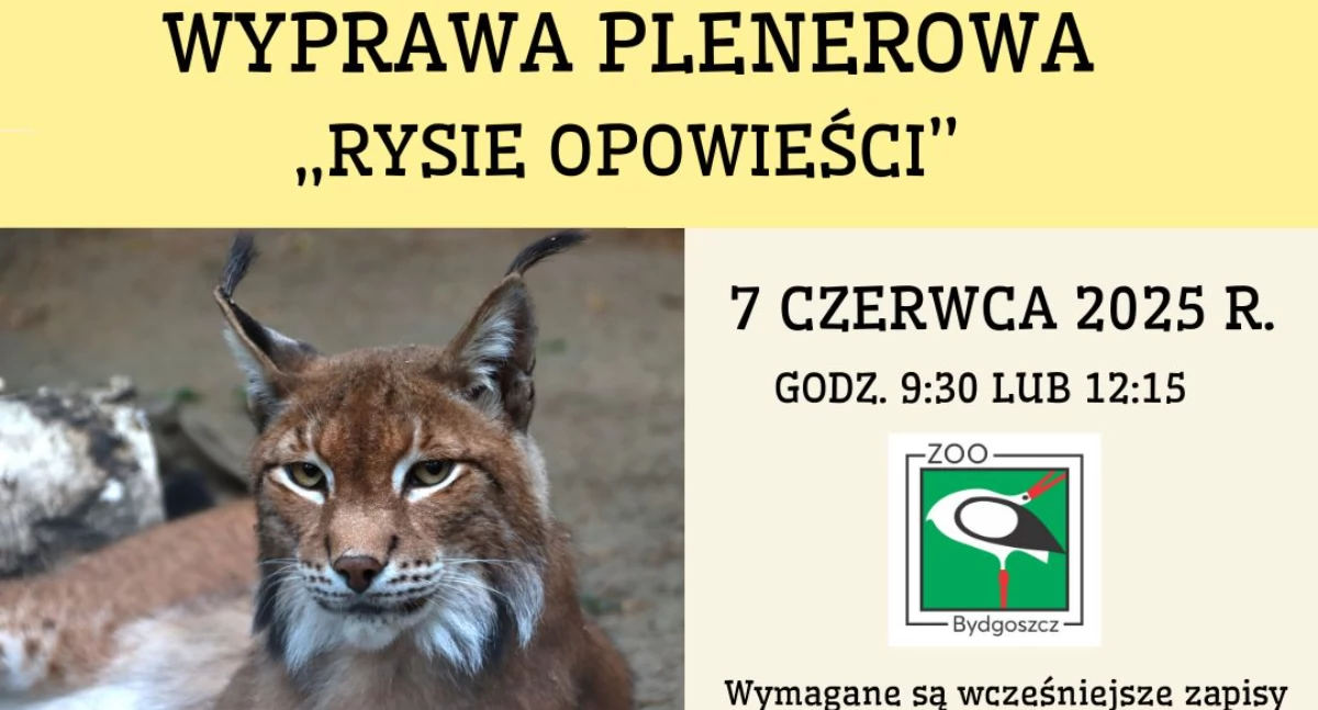Nowa atrakcja w Myślęcinku. Dzieci wcielą się w rysie i ruszą do akcji