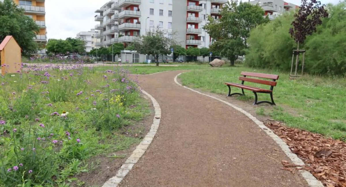 Bydgoszcz głosuje, miasto się zmienia: co kryje zielona przemiana na Wyżynach?