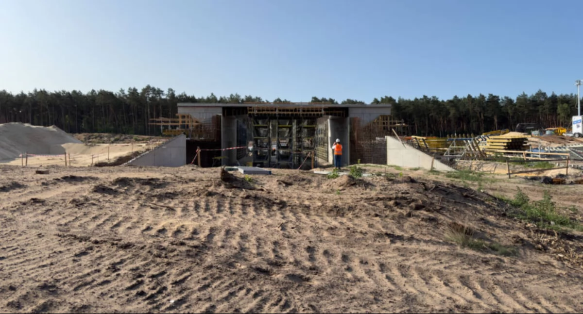 Ekspresówka przez lasy i siedliska – jak budować S10 z głową i sercem?